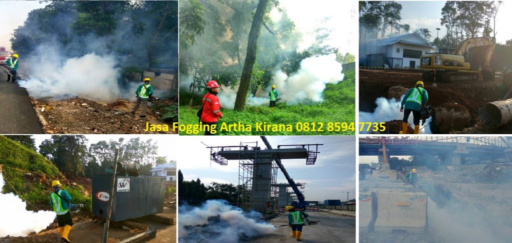 Jasa Fogging Nyamuk Murah di Jakarta